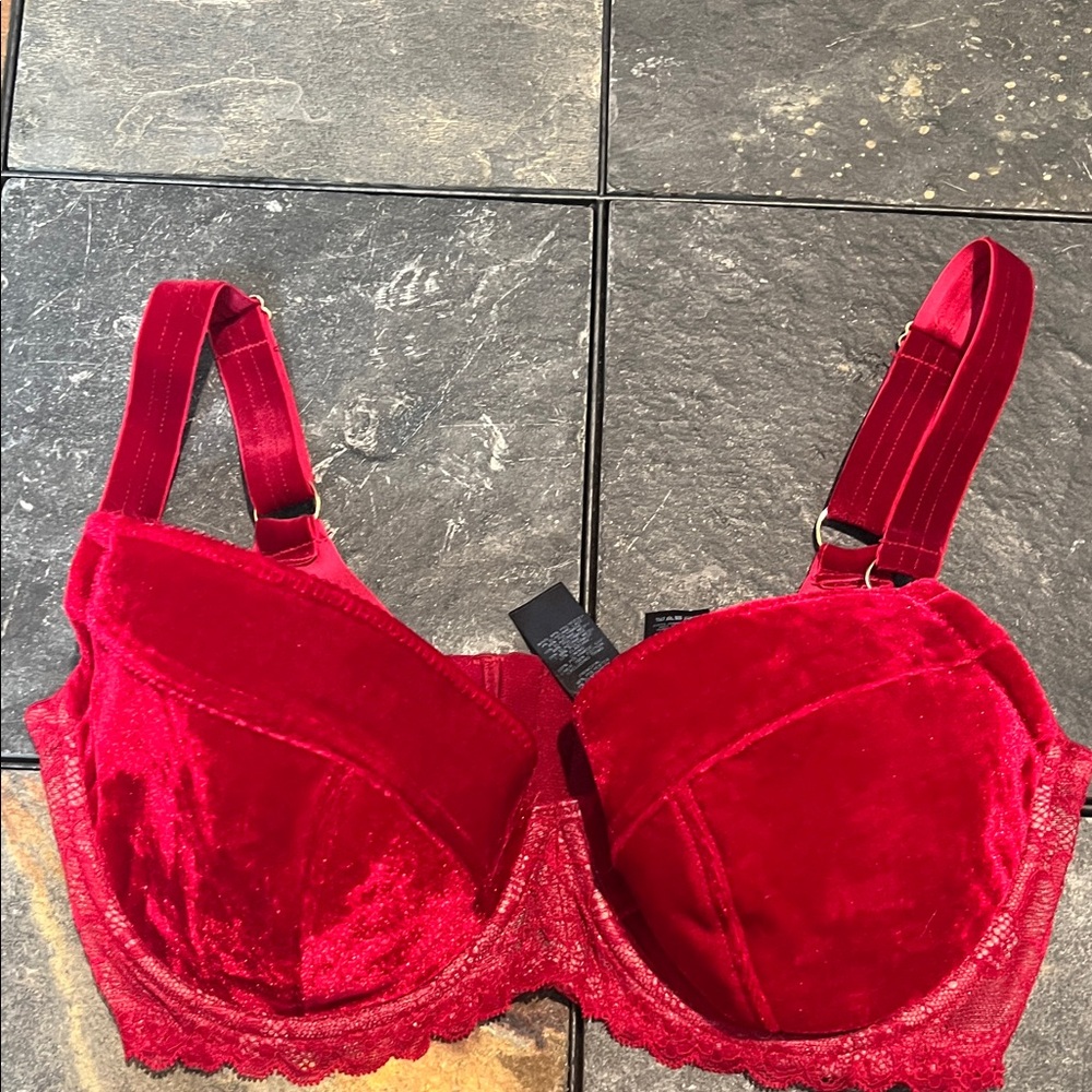 ASOS Rich Red Velvet Bra